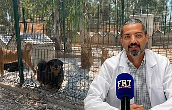 Fethiye'de 'Patili Dost Kart' sahiplerine özel ayrıcalıklar