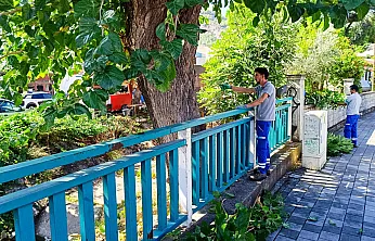Fethiye'de trafik güvenliği için ağaçlar budanıyor