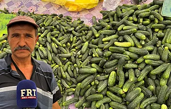 Fethiye'de turşuluk sezonu başladı: Bağlıağaç'ın tarla ürünleri Cuma Pazarı'nda