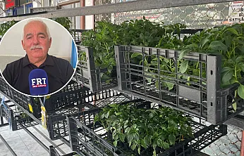 Fethiye'de üreticilere uyarı: Sıcaklıklar bitki hastalıklarını tetikliyor