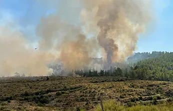 Fethiye'de yangın Koru Mahallesi'nde şiddetlendi