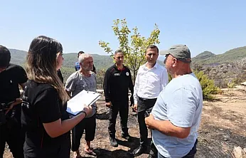 Fethiye'de Yangının Ardından Büyükşehir'den Kapsamlı Hasar Tespiti