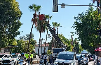 Fethiye'de yeşil dokunun bakımı sürüyor
