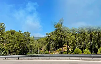 Fethiye Gökçeovacık'ta orman yangınına havadan ve karadan müdahale