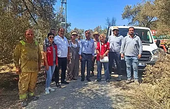 Fethiye İnlice Mahallesi'nde yangından etkilenen zeytinliklerde ön inceleme yapıldı