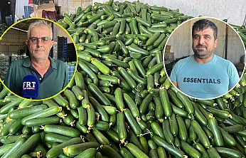 Fethiye Karaçulha Hali'nde salatalık sezonu zor başladı: Üretici de komisyoncu da kazanamıyor