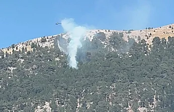 Fethiye Nif'te Orman Yangını! Havadan Müdahale Başladı