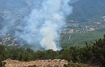 Fethiye Nif'te orman yangını! Havadan müdahale başladı