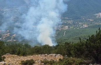 Fethiye Nif'te orman yangını kontrol altına alındı