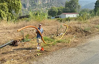 Fethiye orman yangınında zeytinlikleri kül oldu, gözyaşını içine akıtıp yangına su taşıdı
