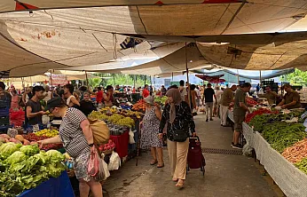Fethiye Pazar Pazarı'nda Güncel Fiyatlar