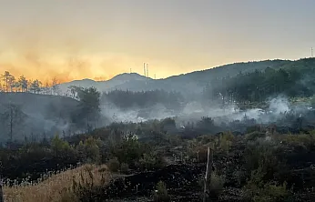 Fethiye Yeşilüzümlü'de alevlerle zorlu mücadele sürüyor