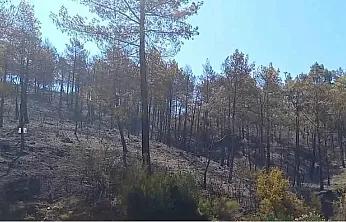 Fethiye Yeşilüzümlü'de çıkan orman yangını kontrol altına alındı