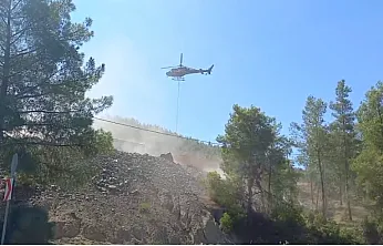 Fethiye Yeşilüzümlü'de yangının başladığı noktanın son hali