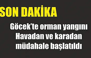 Göcek'te orman yangını: Havadan ve karadan müdahale başlatıldı