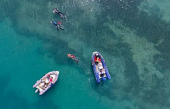 Gümbet'te deniz dibinden 310 kilogram atık çıktı