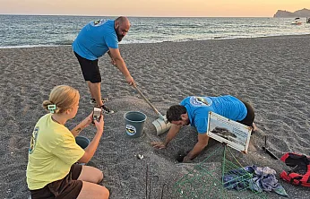 İtalya'da kurtarılan caretta caretta, Muğla sahilinde yumurtladı