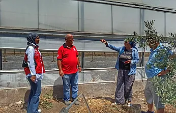Karaçulha'da domuz zararı yerinde incelendi: Fethiyeli üreticilere ÇKS ve yeni B-Reçete Sistemi uyarısı