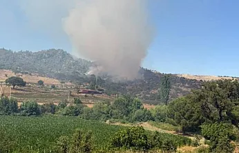 Kavaklıdere'deki yangına müdahale sürüyor