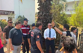 Kaymakam Akkaya Yangın Bölgesinde