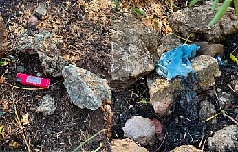 Marmaris'te ormanı yakmaya çalışan şüpheli yakalandı