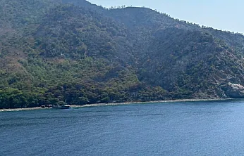 Marmaris'teki orman yangını kontrol altına alındı