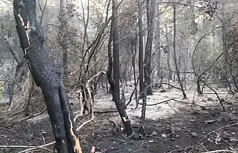 Marmaris'teki yangının enerjisi düşürüldü, ekiplerin mücadelesi sürüyor
