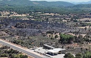 Menteşe'de alevler geride kara bir tablo bıraktı: 150 hektar zarar gördü