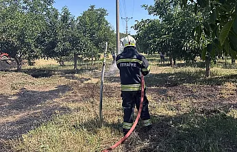 Menteşe'de arazi yangınları büyümeden söndürüldü