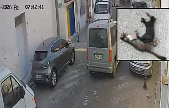 Menteşe'de iki sokak kedisini ezdi, arkasına bile bakmadan uzaklaştı