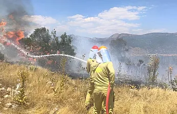 Menteşe'de makilik yangını