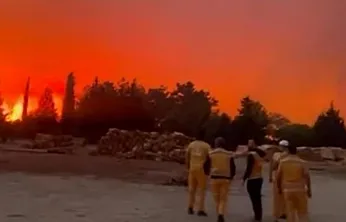 Menteşe'de orman yangını