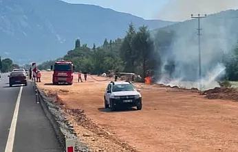 Menteşe'de otluk alanda çıkan yangın söndürüldü