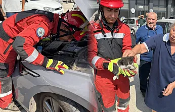 Menteşe'de otomobilin motoruna sıkışan kedi kurtarıldı