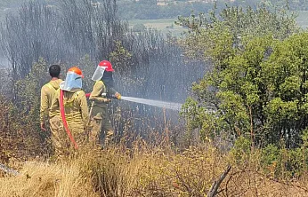 Menteşe'deki makilik yangını kontrol altına alındı