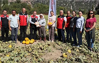 Menteşe Karabağlar yaylasında asırlık lezzetin hasat zamanı