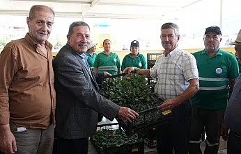 Milas Belediyesi Kışlık Sebze Fidelerini Üreticilerle Buluşturdu