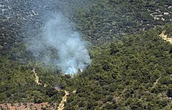 Milas Kazıklı Koyu'nda makilik alanda yangın çıktı