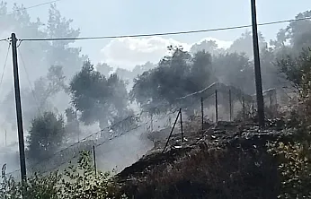Milas-Söke karayolu üzerindeki yangın büyümeden söndürüldü