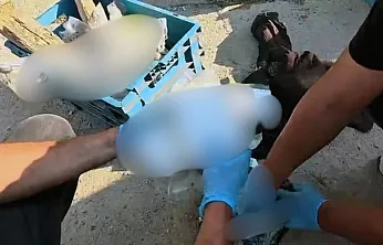Milas'ta 2 kilo kokain yakalandı