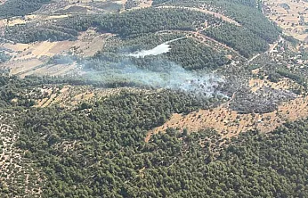 Milas'ta çıkan zirai yangın kısa sürede kontrol altına alındı