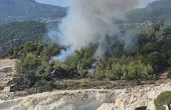 Milas'ta orman yangını