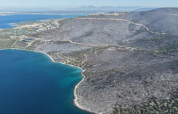 Milas'ta yeşille maviyi orman yangını ayırdı