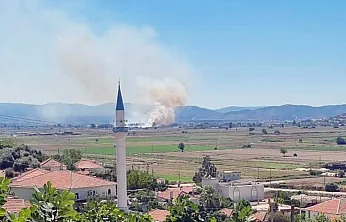 Milas Yaşyer'de ot ve sazlık yangını