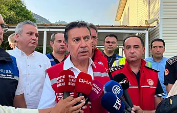 Muğla Büyükşehir Belediye Başkanı Aras: 'Yangınların en büyük nedeni insan hatası'