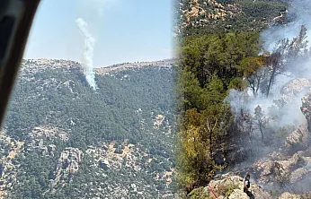 Muğla'da çıkan orman yangını söndürüldü
