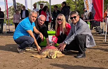 Muğla'da Cumhuriyet'in 103. yılında 12 deniz kaplumbağası denizle buluştu