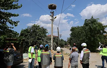 Muğla'da göçmen kuşlar için elektrik hatlarındaki riskler azaltılacak