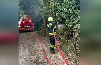 Muğla'da korkutan ot yangını: 30 metrekare alan zarar gördü