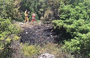 Muğla'da orman yangını ekiplerin hızlı müdahalesi ile söndürüldü